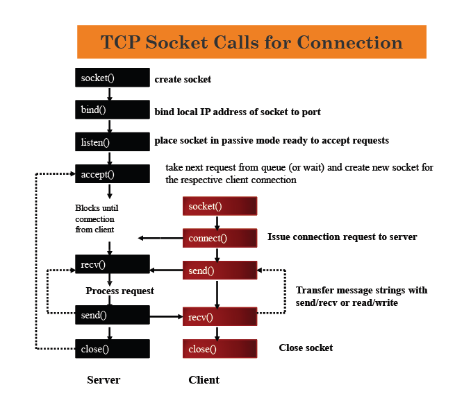 C client. TCP Socket. Client Server Socket. Сокет сервера. Socket TCP IP.